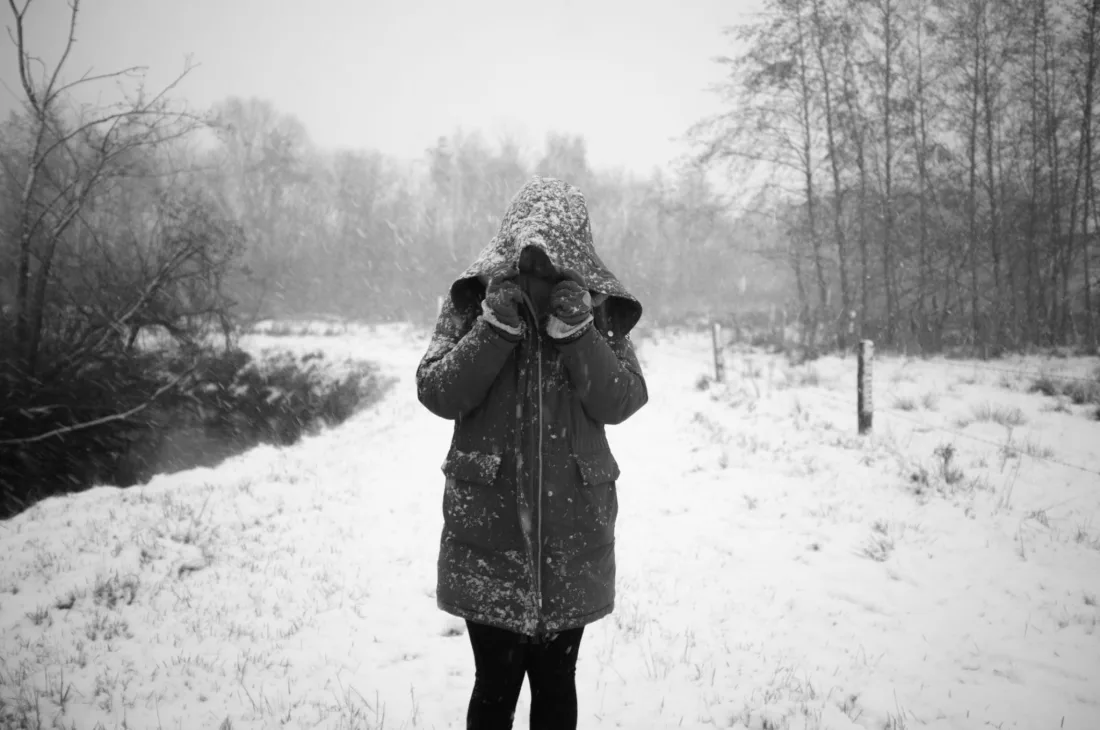 Photograph 7